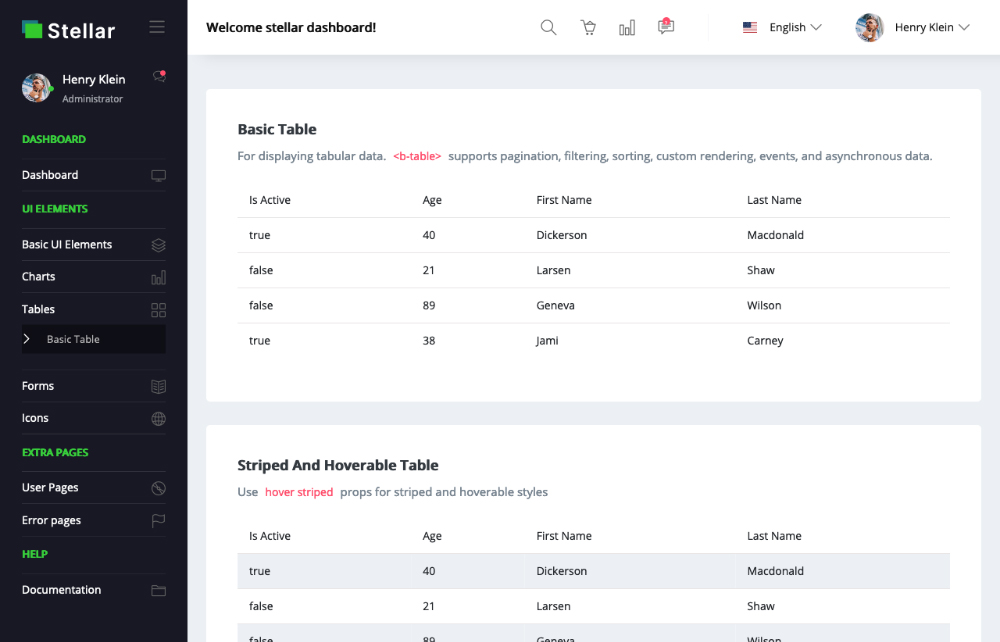 Preview of Stellar Admin Vue basic tables