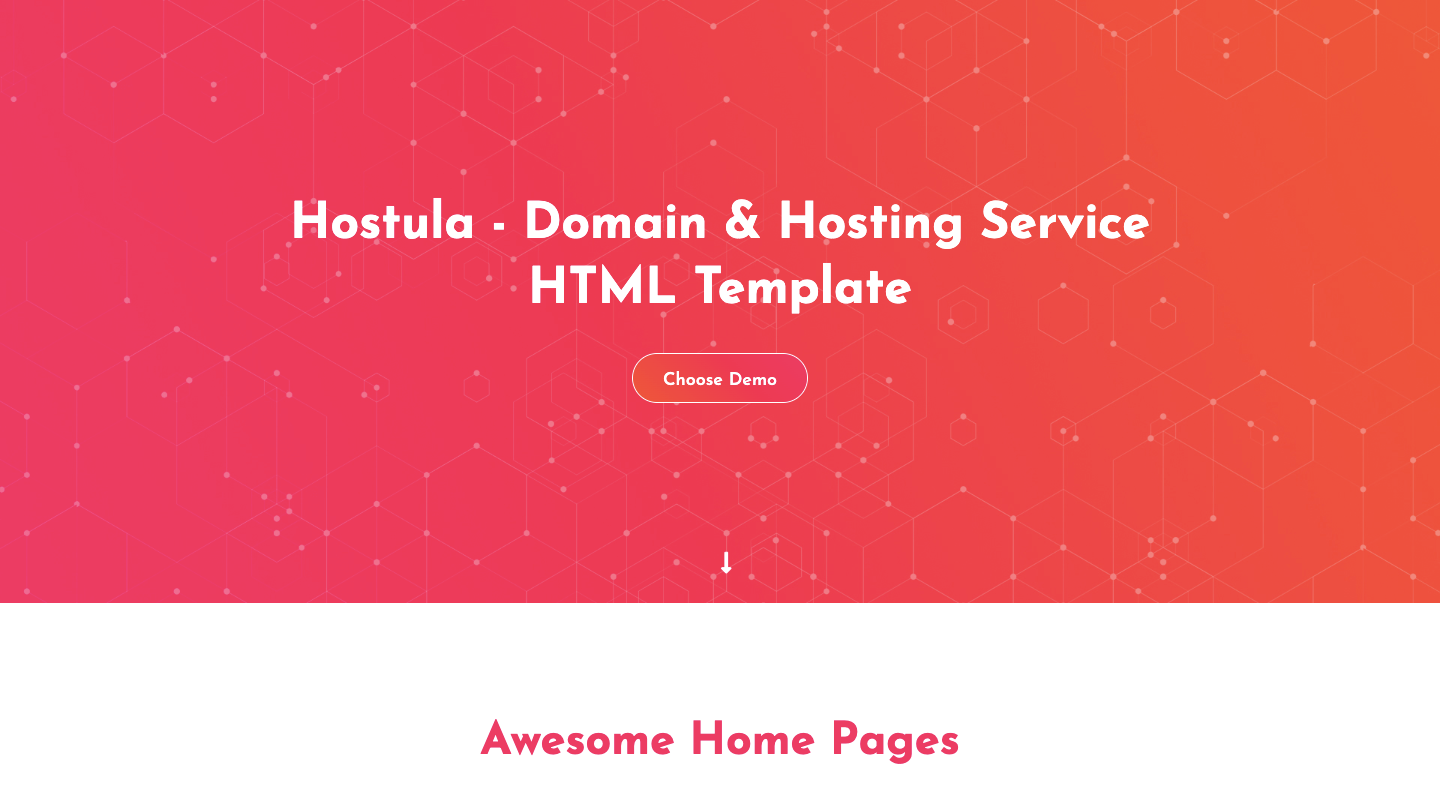 hostula startup website template